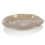 FOLIES CENT CM.50X29 TORTOISE