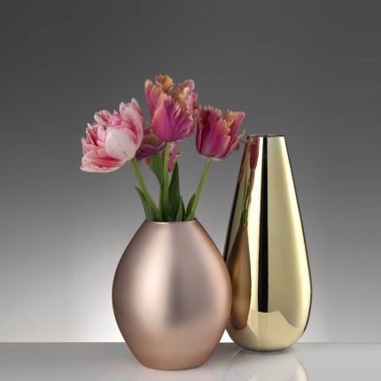 SETTINO SCICCHISSIMO x