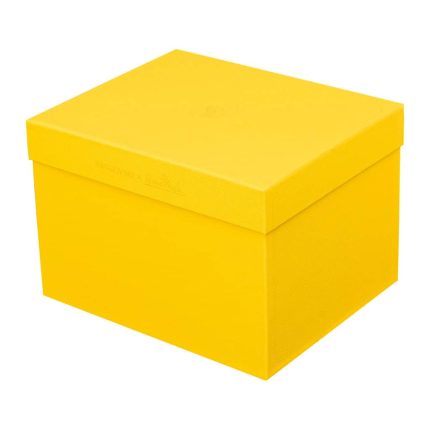 Jonquil Yellow Cup/Saucer4 low - Image 2