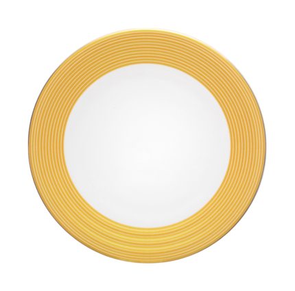 Flat Plate21.0 Cm. GH