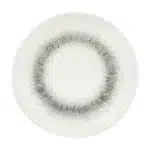 Black Ice FLAT PLATE 27CM